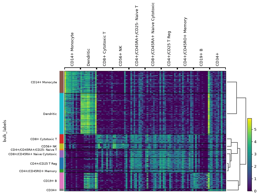 Heatmap of transcriptomic measurements grouped by annotated immune-cell populations